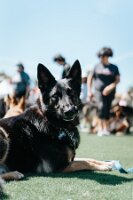 DSC00965