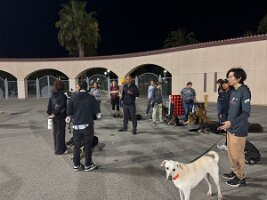 IMG_4862