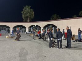 IMG_4867