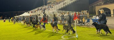 IMG_4890