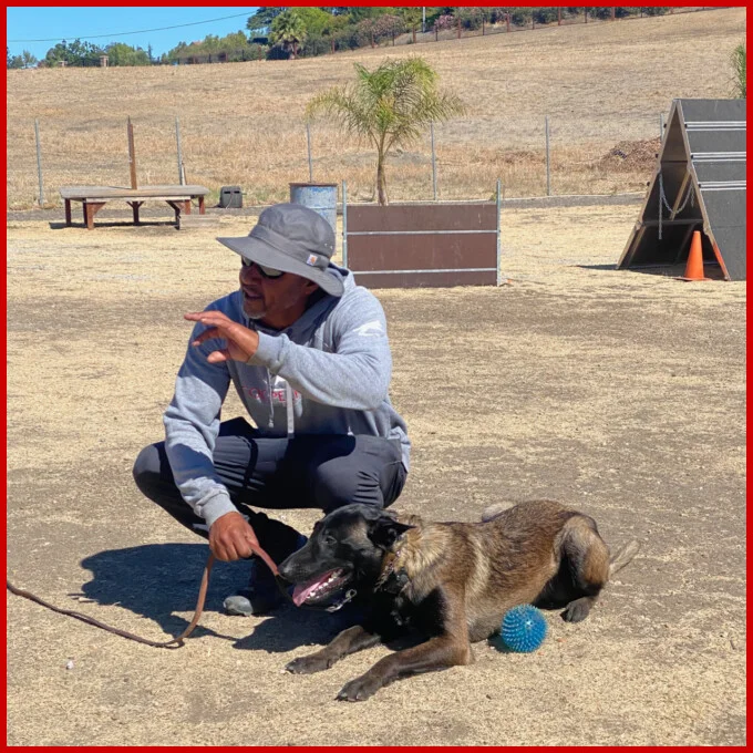 Brent Cooper teaching obedience