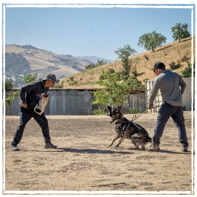 Cooperhaus protection training