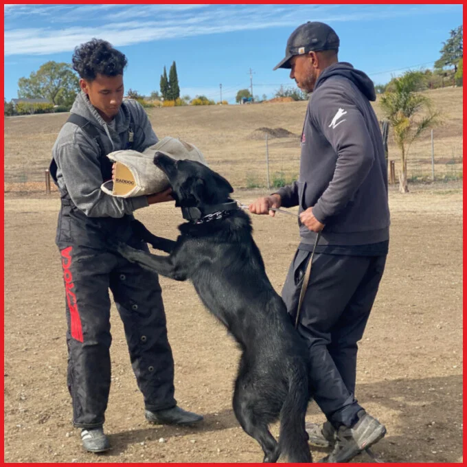 Brent and Titus in protection training