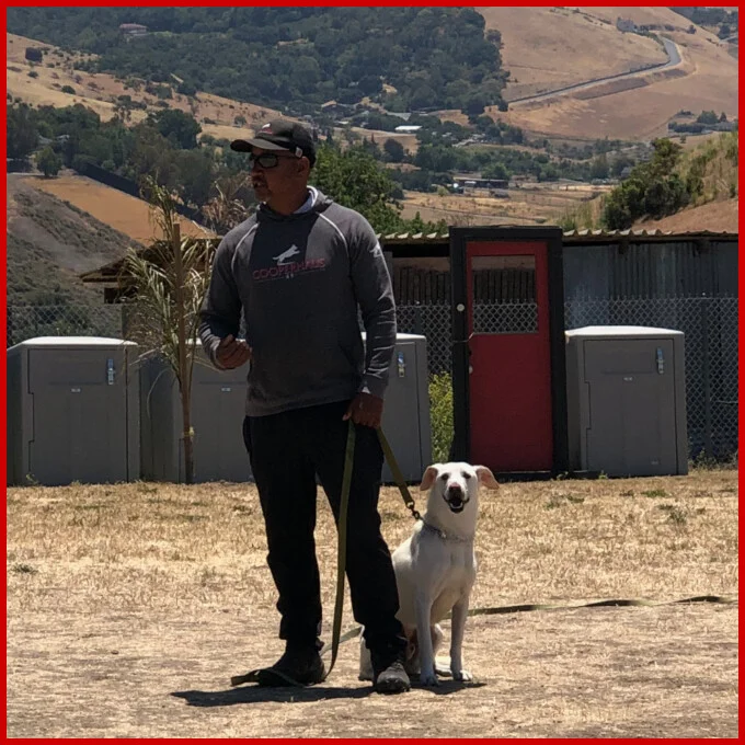 Teddy the Formosan Mountain Dog at Cooperhaus K9