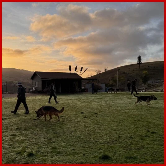 Cooperhaus Training Field
