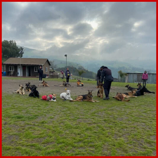 Cooperhaus Training Field