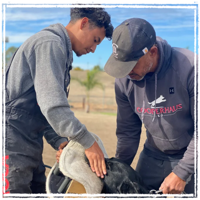 Titus and Brent training dog